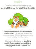 ORJENA TEA TREE CICA TONER| Gentle Exfoliation | Korean Skincare | Tea Tree Extract Infusion