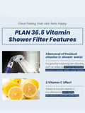 Shower Filter Lavender(145g)