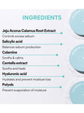 Innisfree No Sebum Mineral Pact