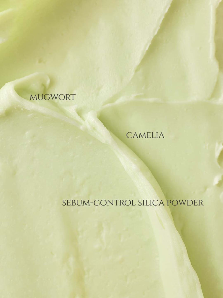 BEAUTY OF JOSEON MATTE SUNSTICK MUGWORT CAMELIA SPF50 PA 50ML