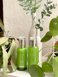 ORJENA TEA TREE CICA TONER| Gentle Exfoliation | Korean Skincare | Tea Tree Extract Infusion