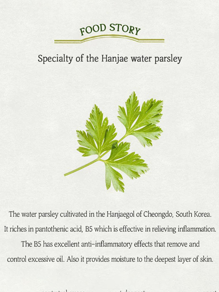 Skinfood Pantothenic Water Parsley Refresh Cleansing Foam 150ml