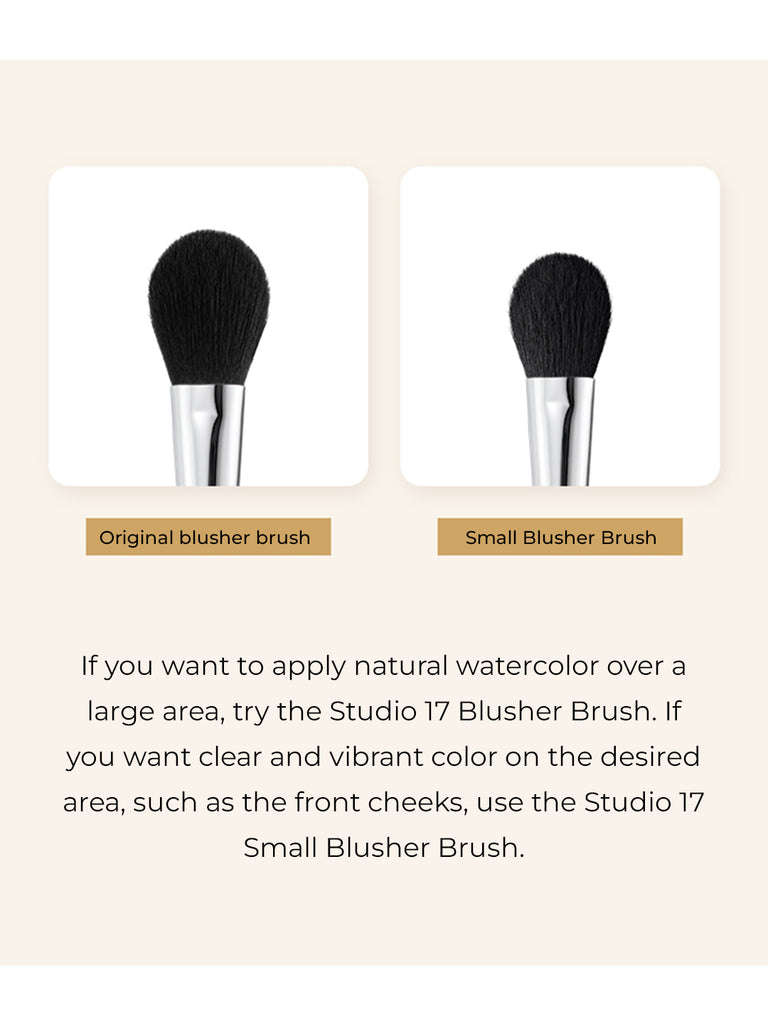 Studio 17 Small blush brush 463