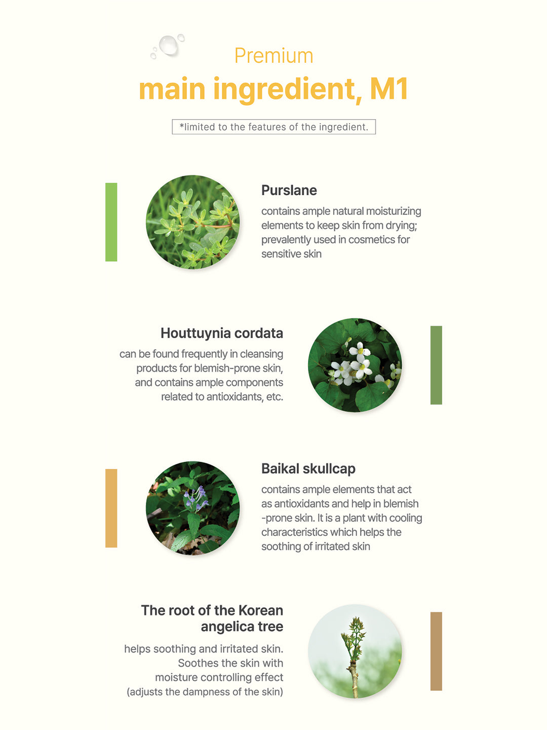 A.C PROMISE LINE Spot Clear Essence