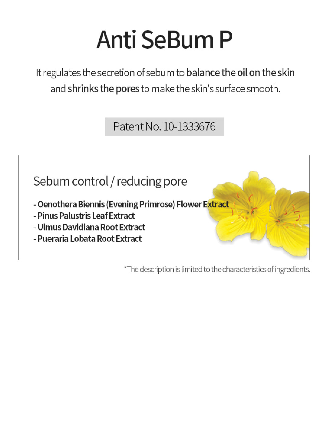 WHA'YUNSUL Essential Bubble Toner