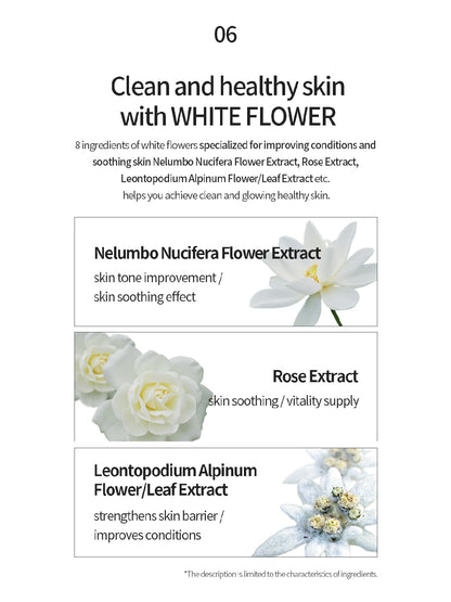 WHA'YUNSUL Pepsolution Collagen Mask Pack