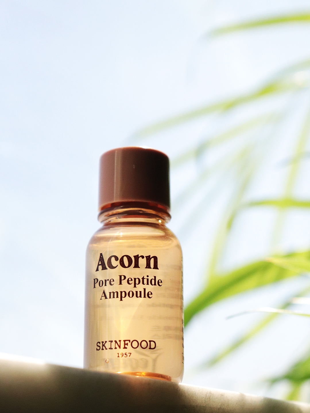 Skinfood Acorn Pore Peptide Ampoule Mini