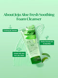 The Face Shop Jeju Aloe Fresh Soothing Foam Cleanser