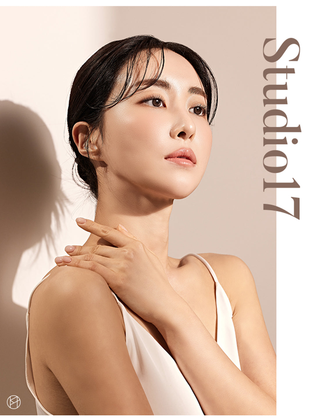 Studio 17 Big fan brush 453