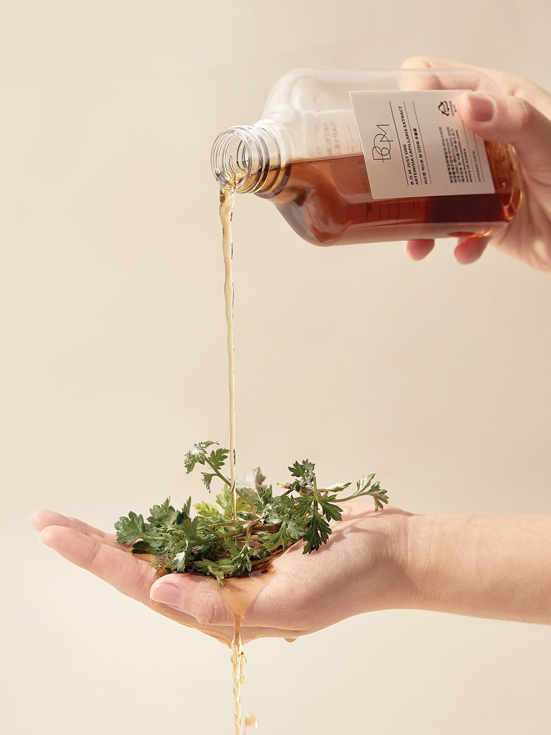 B.O.M JUST ONE HOUTTUYNIA CORDATA EXTRACT