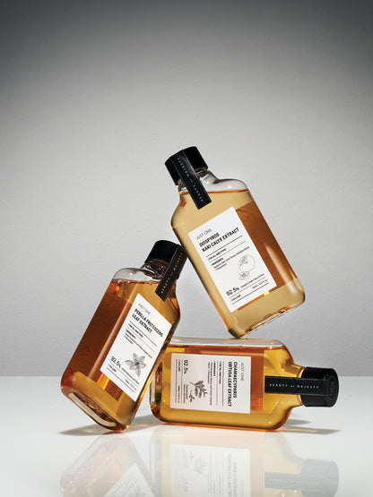 B.O.M JUST ONE PERILLA FRUTESCENS LEAF EXTRACT