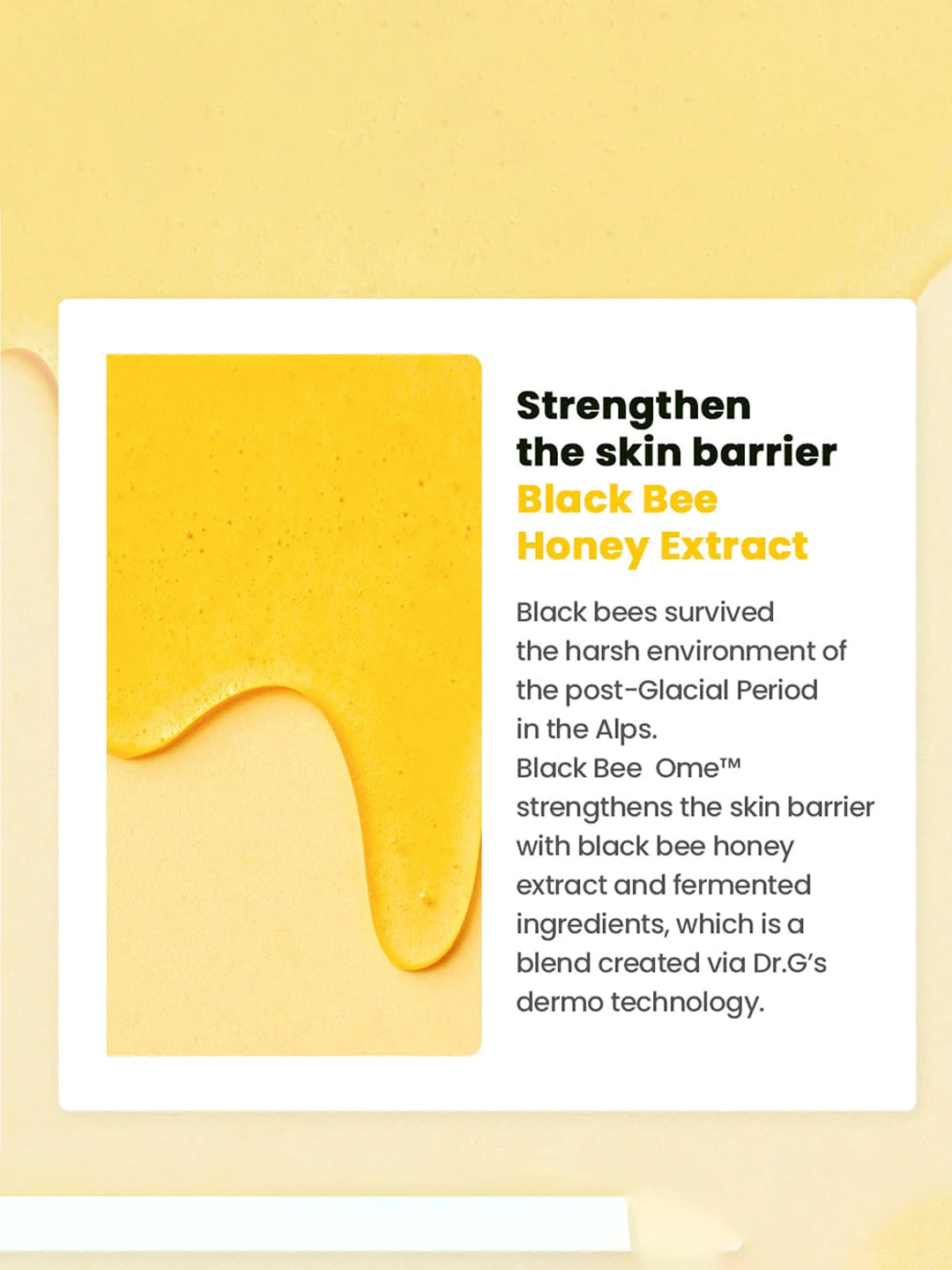 DR.G ROYAL BLACK SNAIL CREAM 50ml