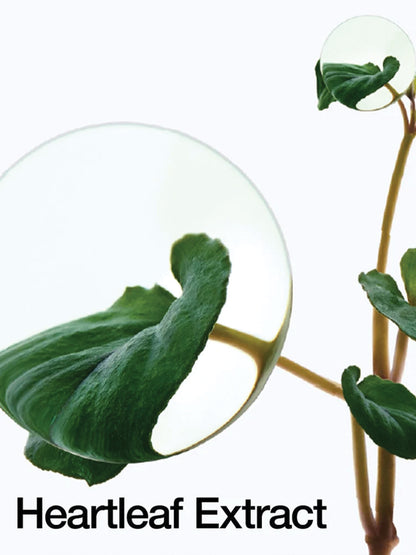 Anua Heartleaf 70% Intense Calming Cream 50ml