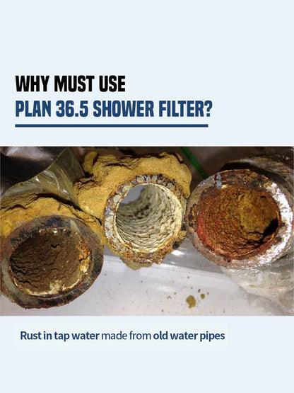 Shower Filter Freesia(145g)