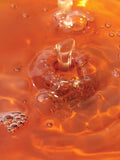 BOM JUST ONE HOUTTUYNIA CORDATA EXTRACT