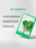 Innisfree Squeeze Energy Sheet Mask - Water Type - Centella