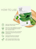 The Face Shop Real Nature Aloe Face Mask