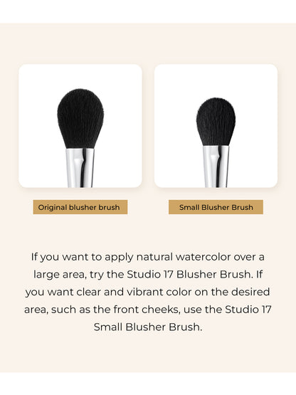 Studio 17 Small blush brush 463