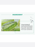 CATHY DOLL ALOEHA FRESH ALOEVERA TONER & ESSENCE 300ML
