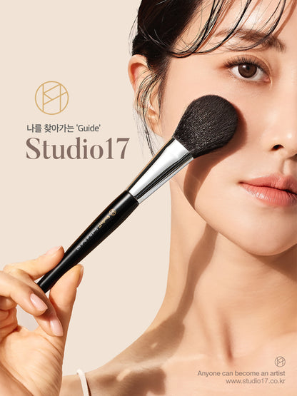 Studio 17 Big fan brush 453