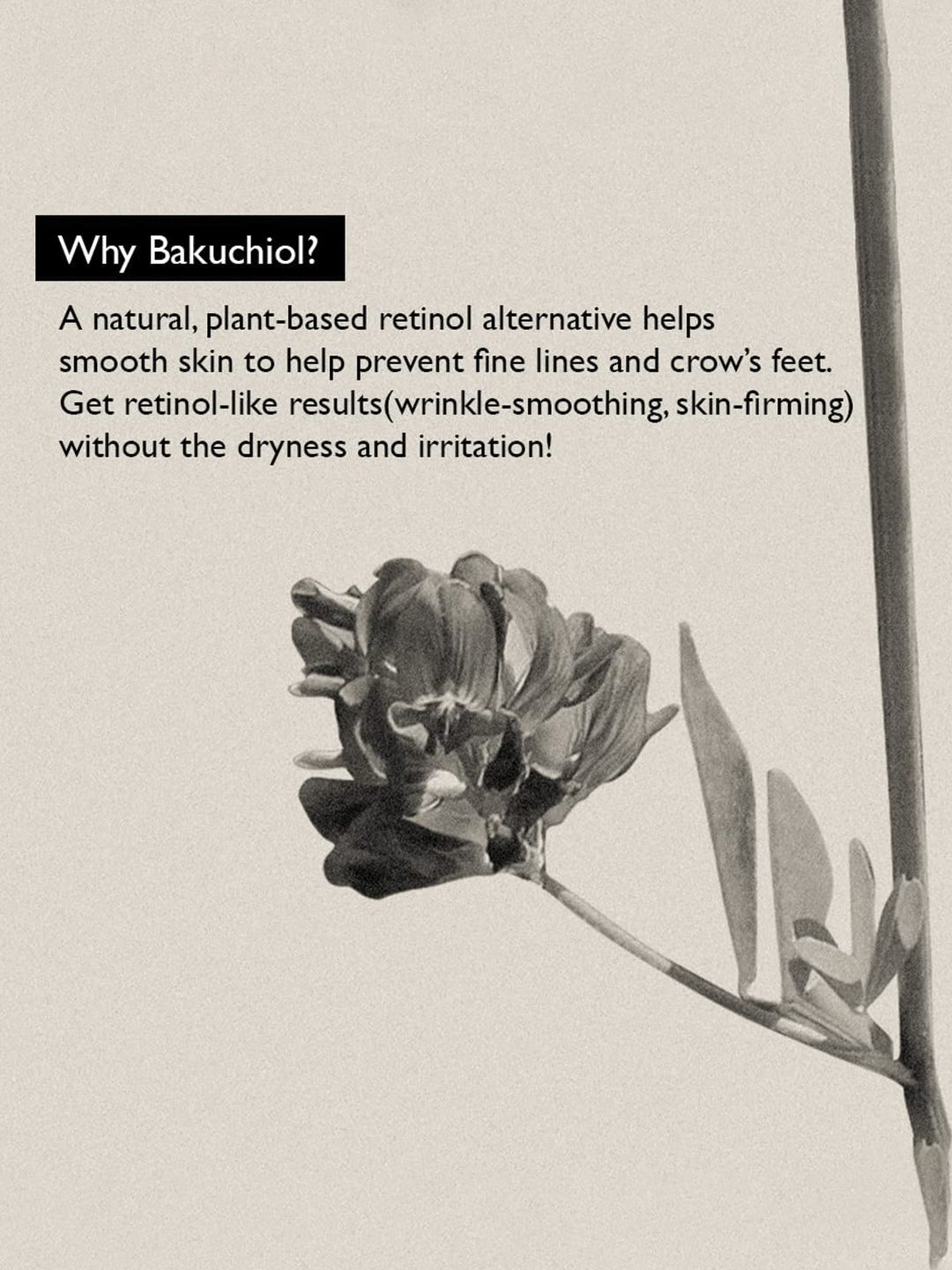 HaruHaru Wonder Black Rice Bakuchiol Eye Cream 20ml