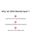 Dewytree The Clean Lab AC Dew Calamine Blemish Spot - 18gms