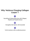 Dewytree Moisture Charging Collagen Cream - 50ml