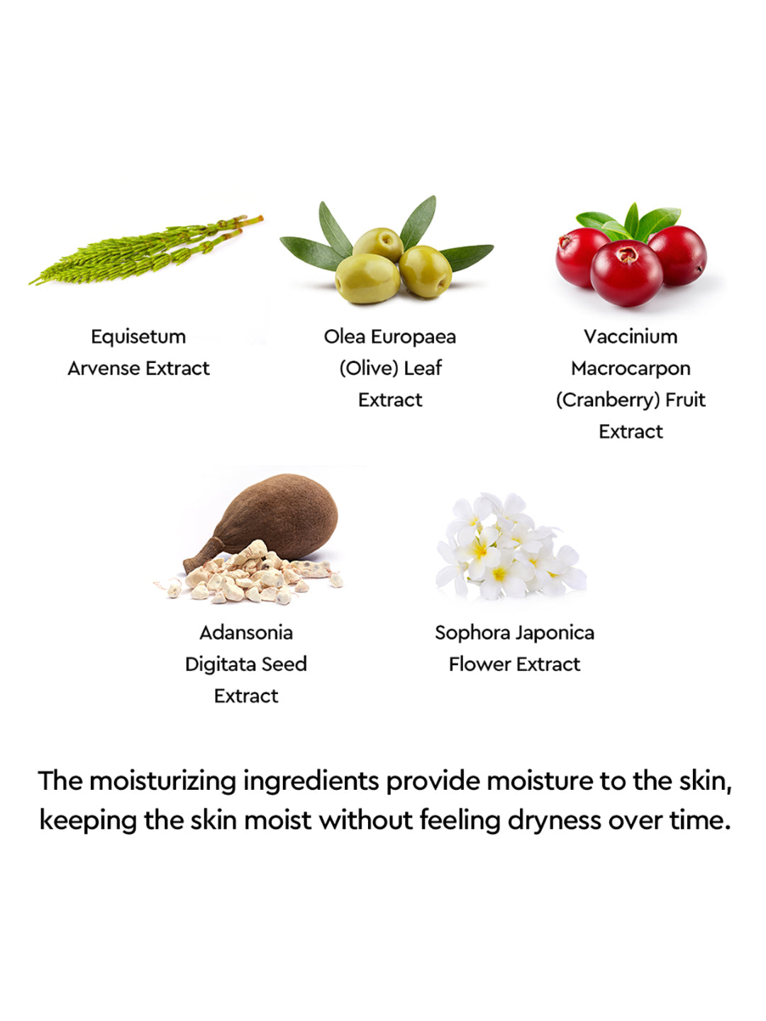 Dewytree Urban Shade Cover And Fit Sunscreen SPF 50+ PA++++ - 40ml