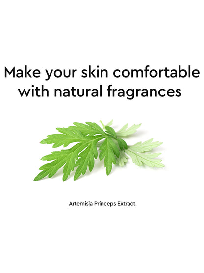 Dewytree Urban Shade Cover And Fit Sunscreen SPF 50+ PA++++ - 40ml