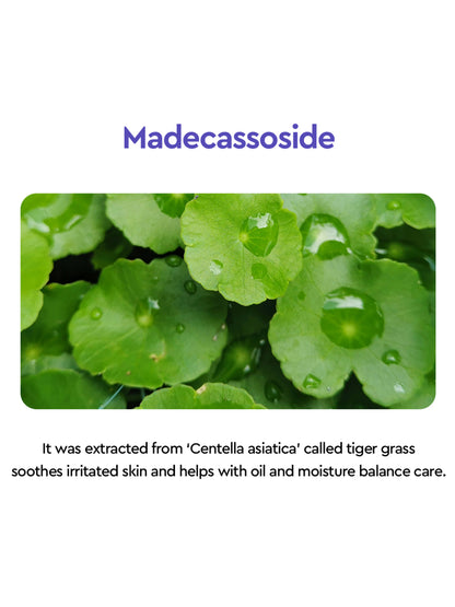 Dewytree Moisture Charging Collagen Toner - 200ml