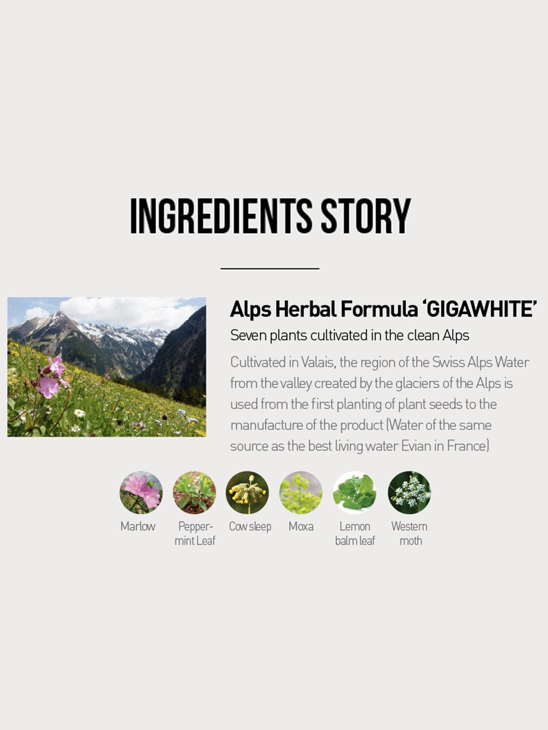 Suntique-I’M TONE UP MULTI BASE : clean and bright complexion Women 50ml