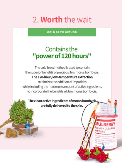 A'PIEU Mulberry Blemish Clearing Ampoule For Anti-Aging and Brightening Women (30ml)